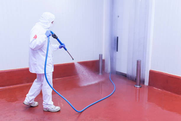 Professional  Pressure Washing Services in Heritage Lake, IN